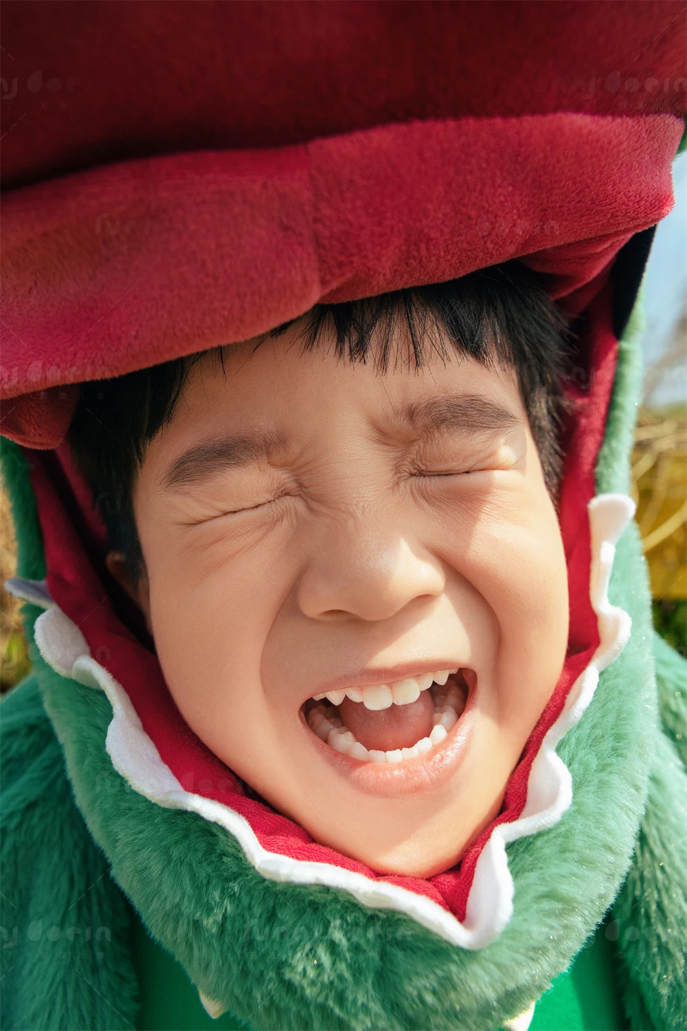 芳妮豆丁儿童摄影 远赴春山