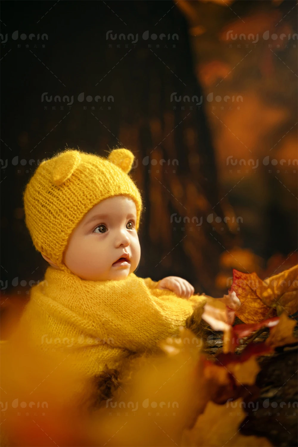 芳妮豆丁儿童摄影 枫叶童话