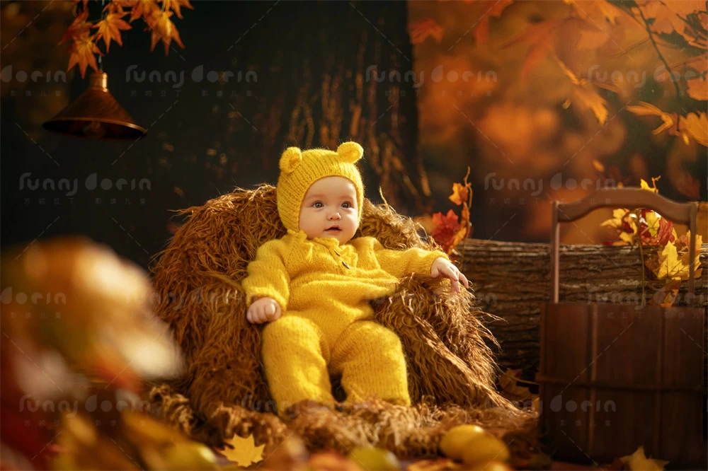芳妮豆丁儿童摄影 枫叶童话