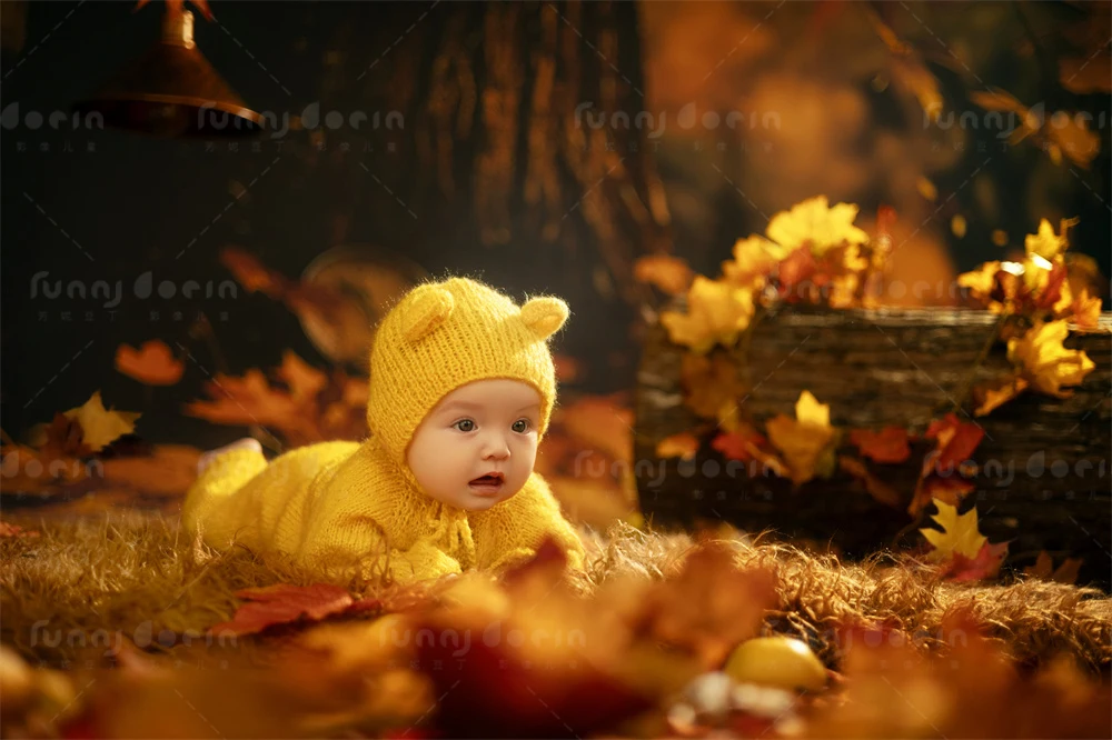 芳妮豆丁儿童摄影 枫叶童话