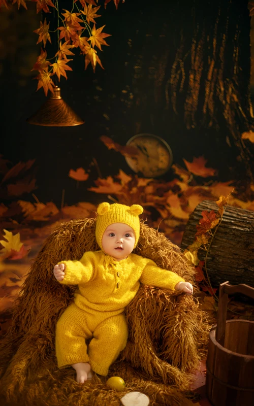 芳妮豆丁儿童摄影 枫叶童话