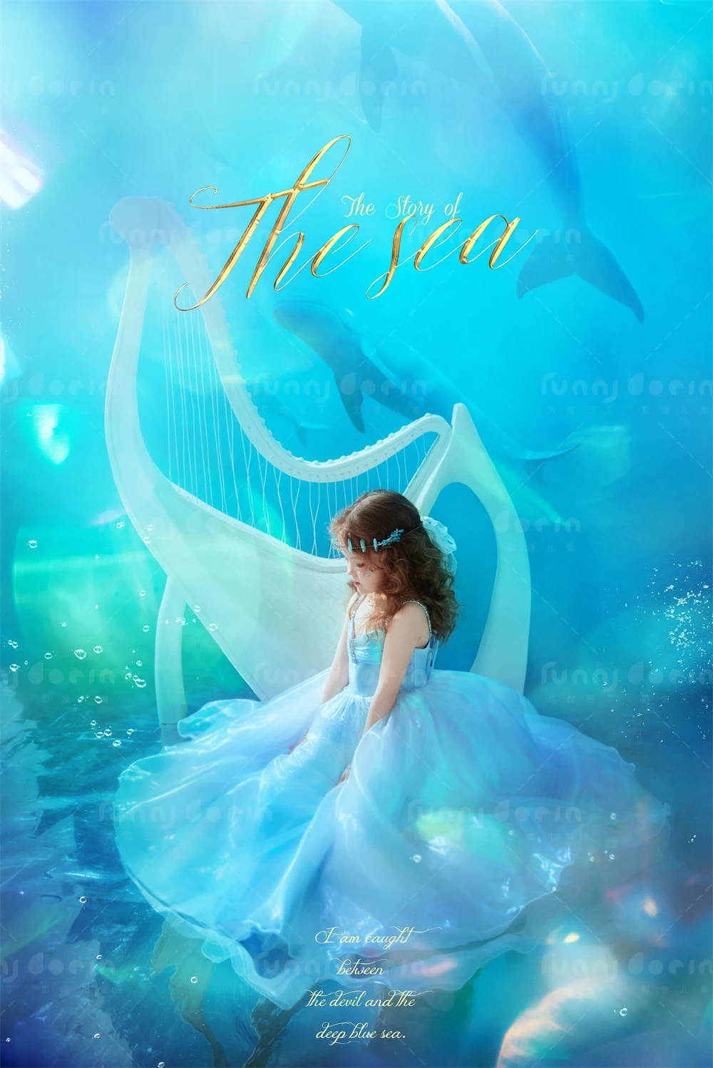 全家福 芳妮豆丁