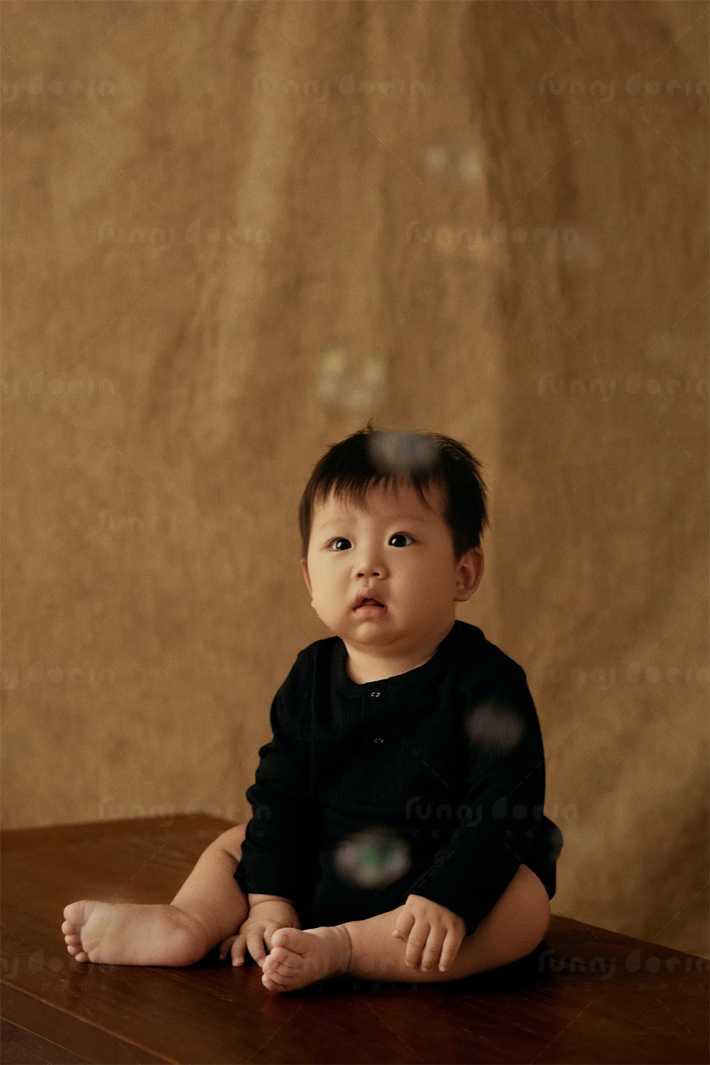 全家福 芳妮豆丁