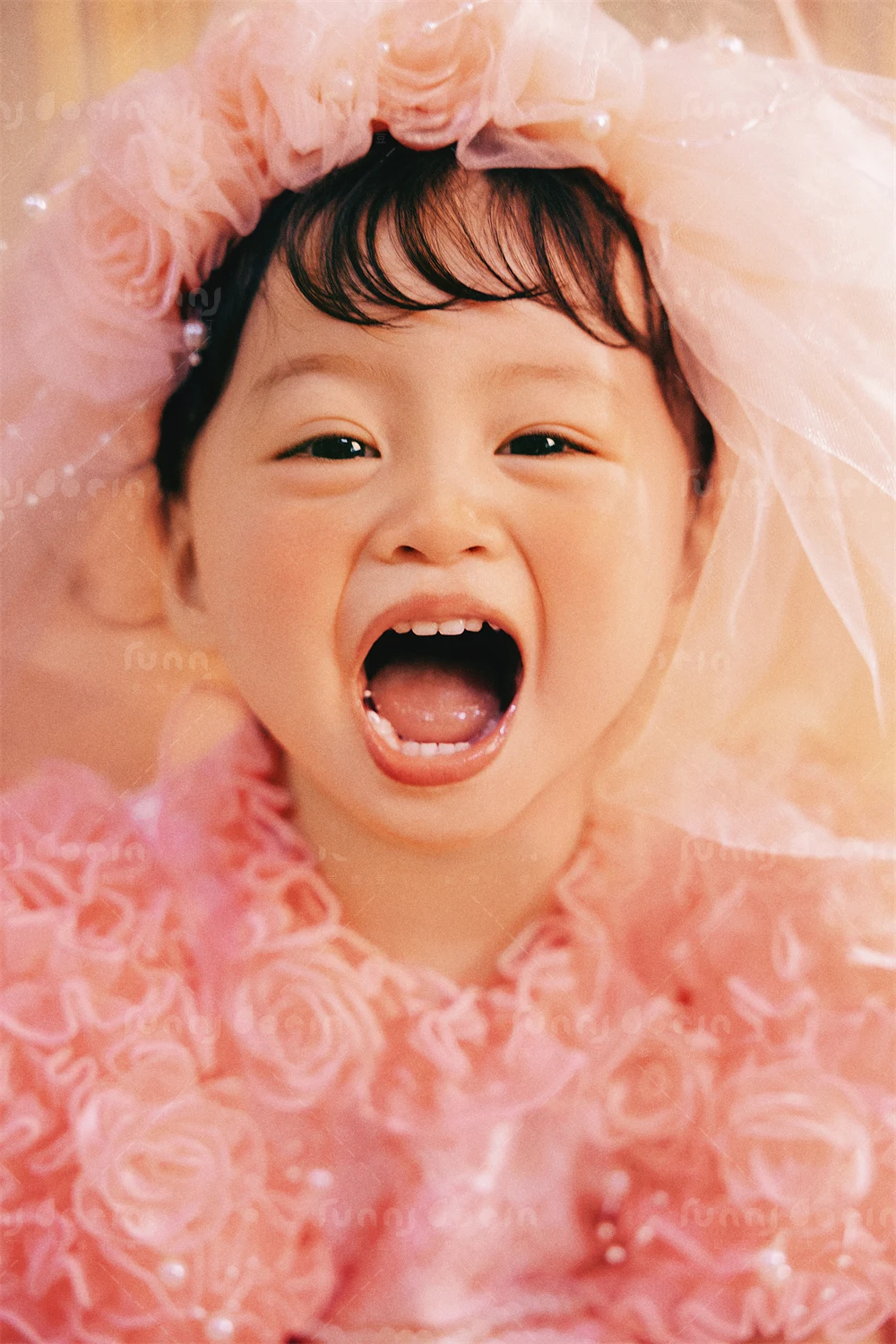 全家福 芳妮豆丁