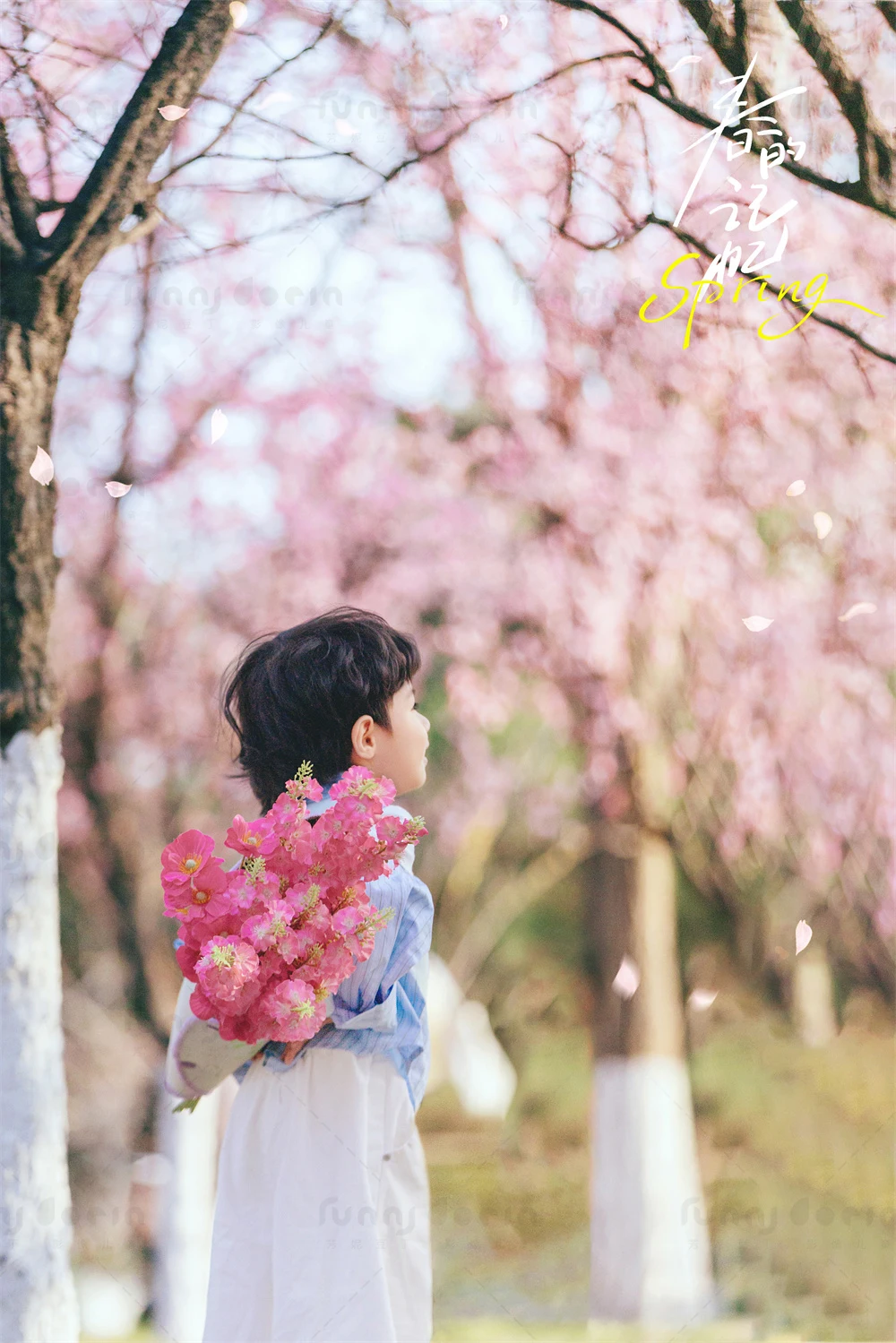 芳妮豆丁儿童摄影 春风一顾