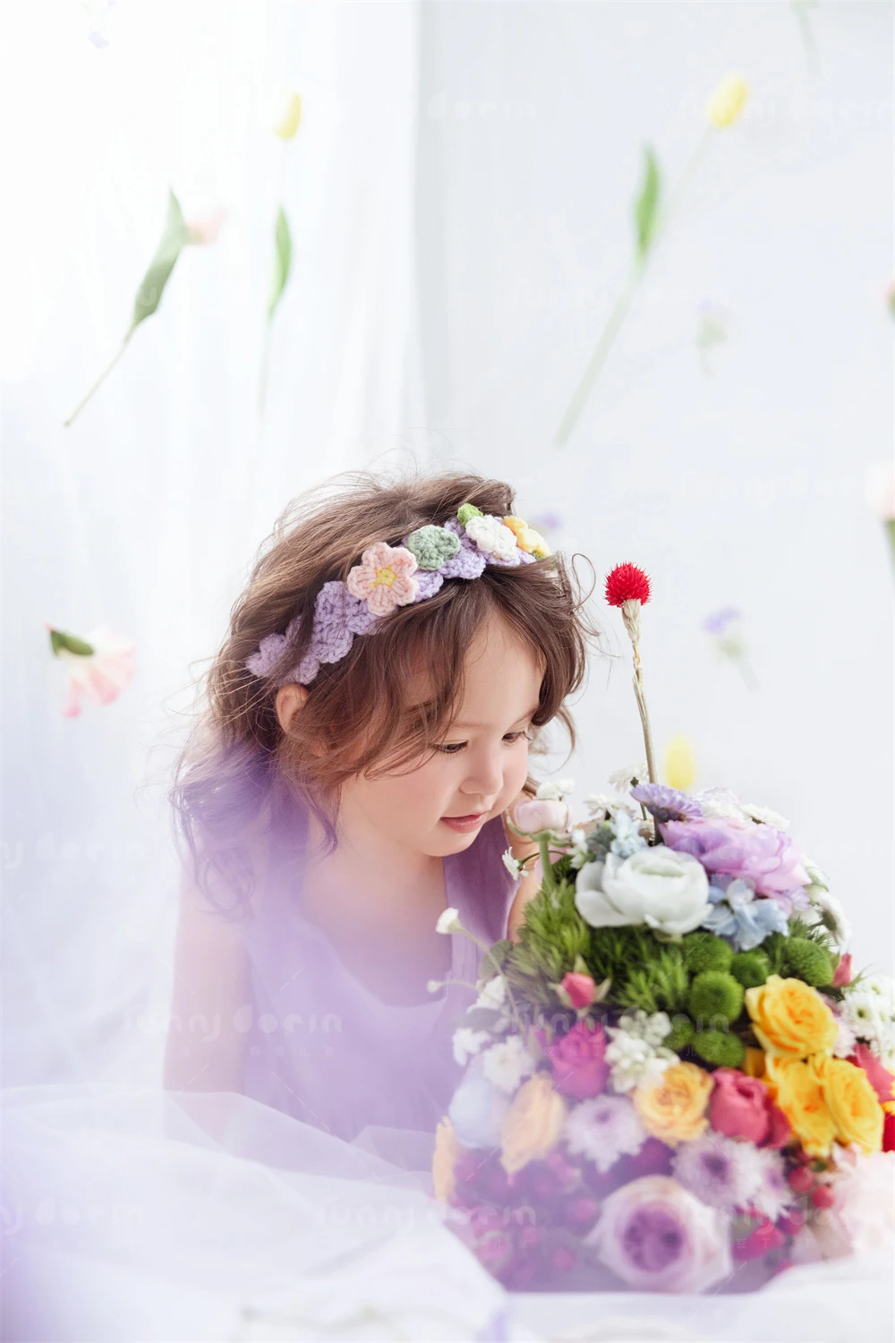 全家福 芳妮豆丁