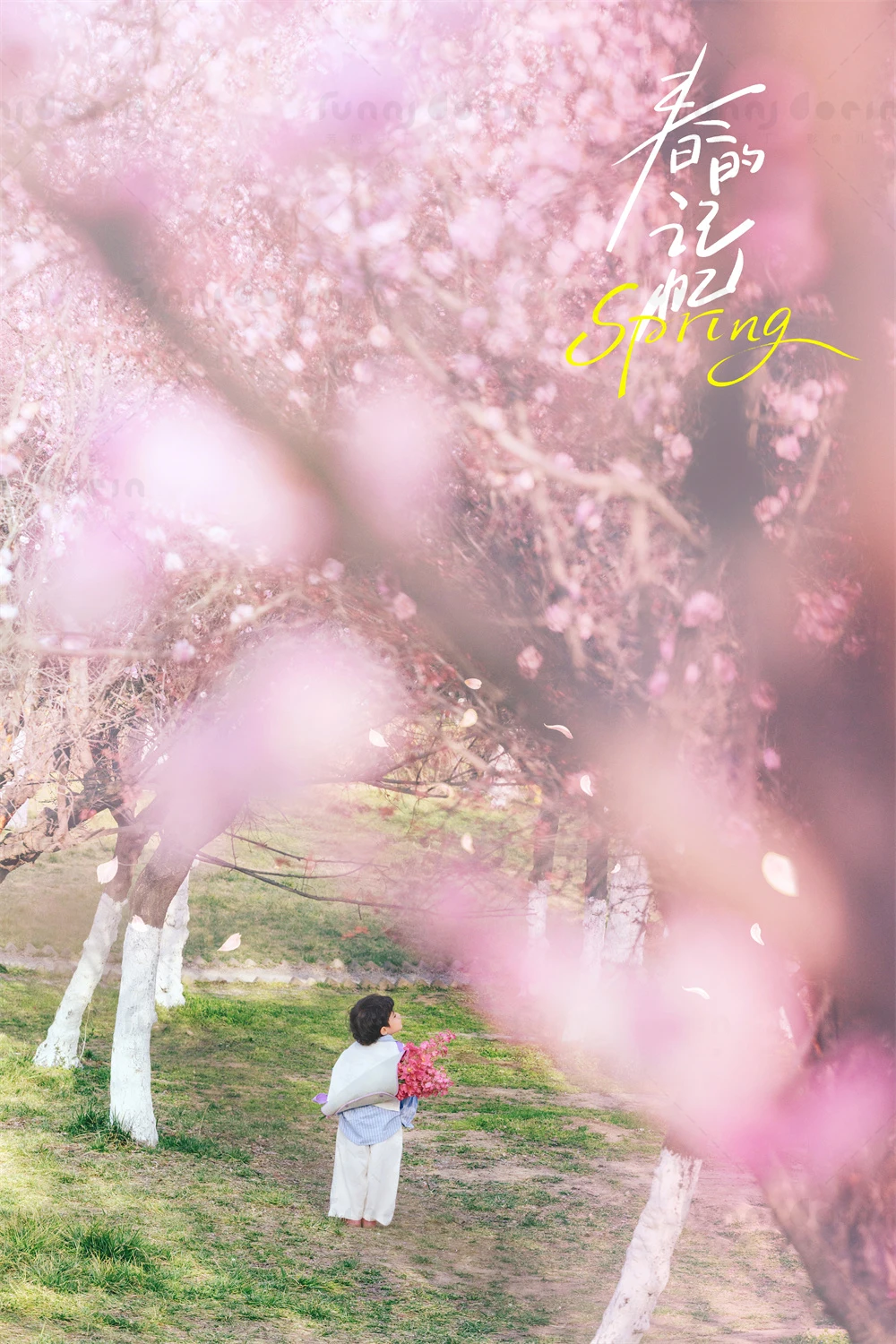 芳妮豆丁儿童摄影 春风一顾