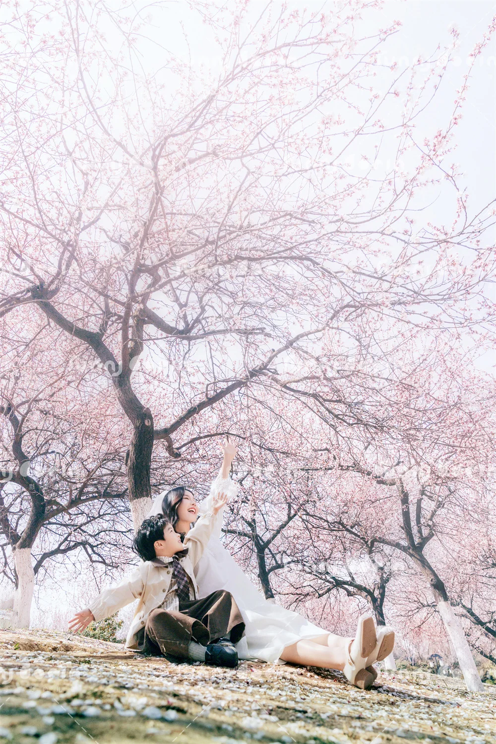 全家福 芳妮豆丁