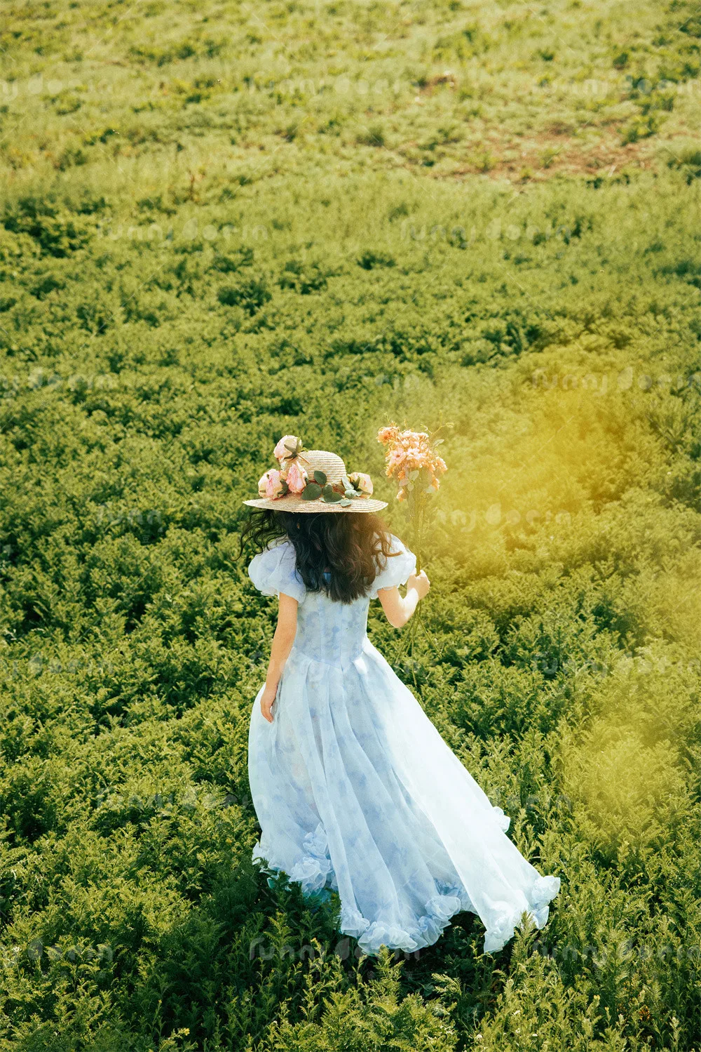 全家福 芳妮豆丁