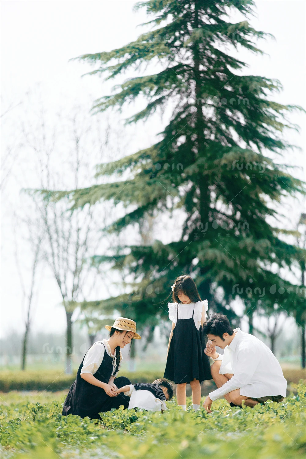 芳妮豆丁儿童摄影 郊野日记