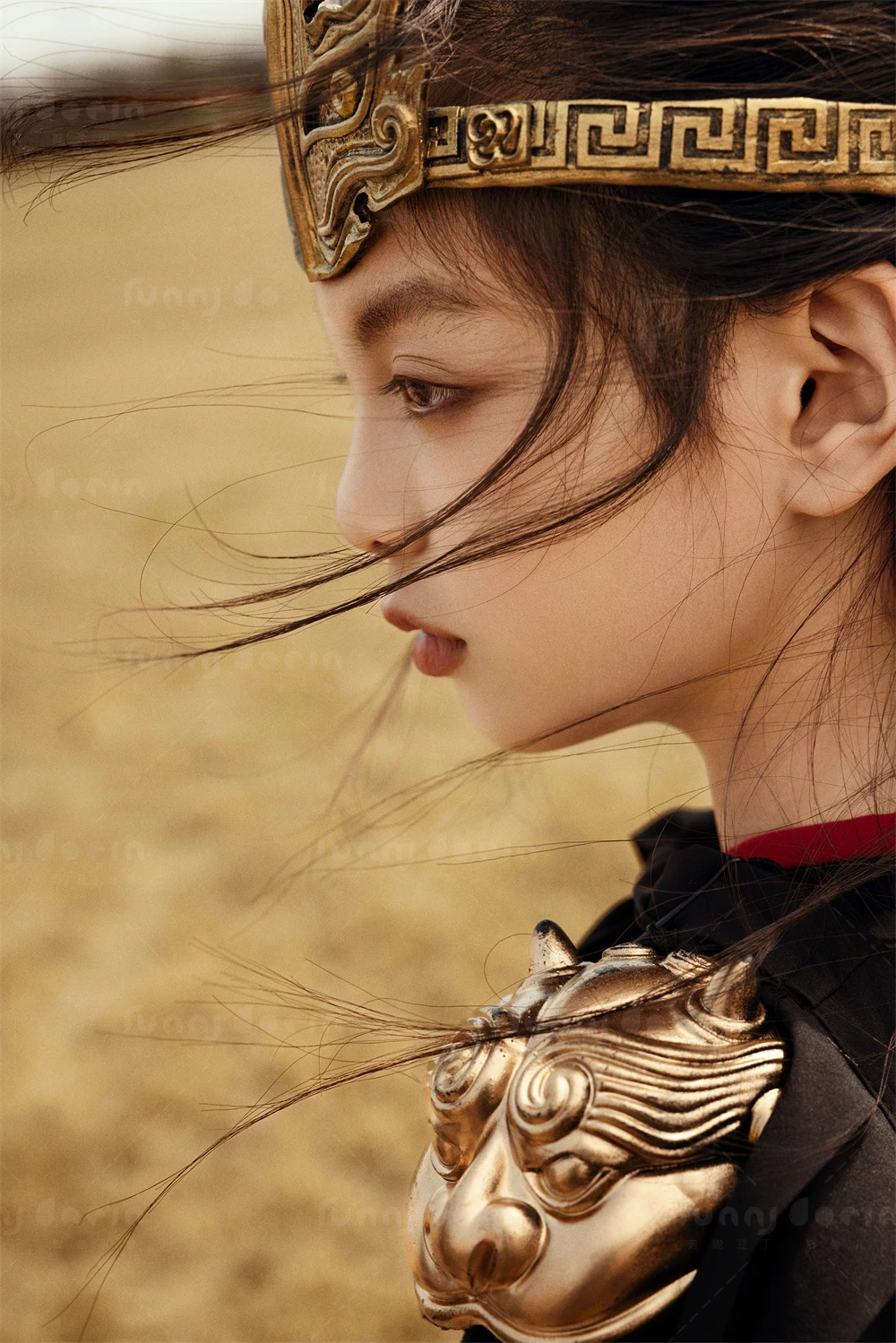 全家福 芳妮豆丁