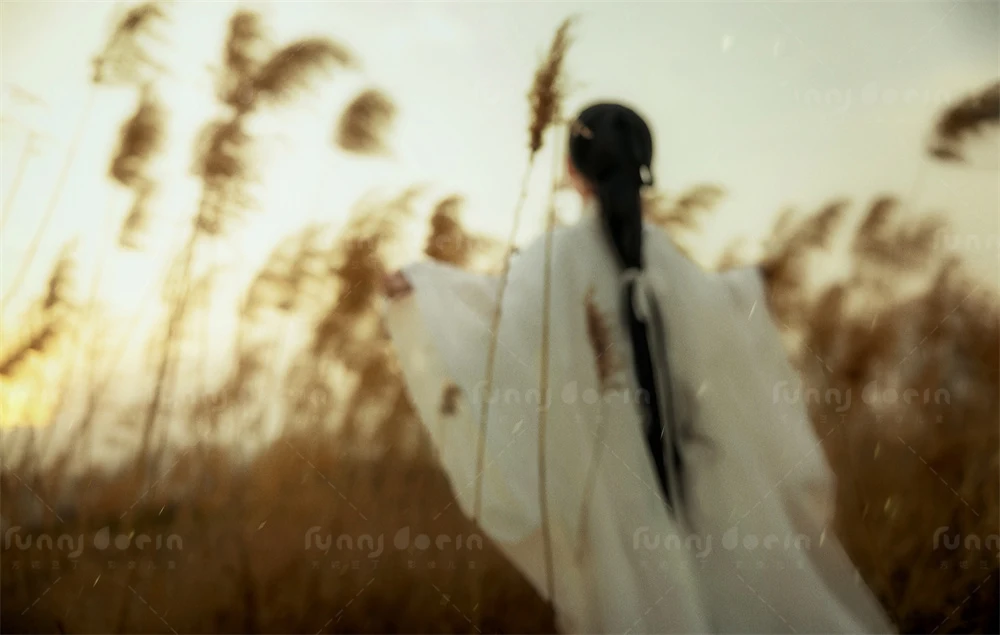 芳妮豆丁儿童摄影 蒹葭萋萋