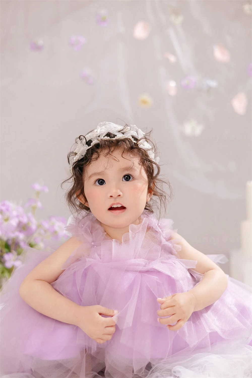 全家福 芳妮豆丁