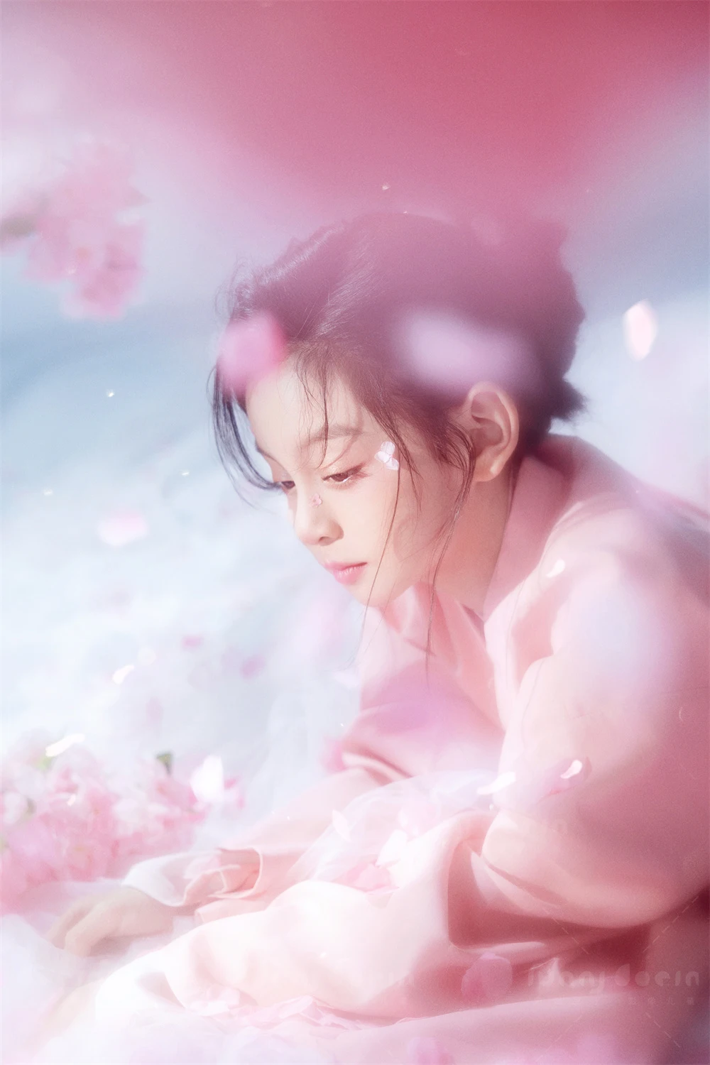 芳妮豆丁儿童摄影 七月樱笺