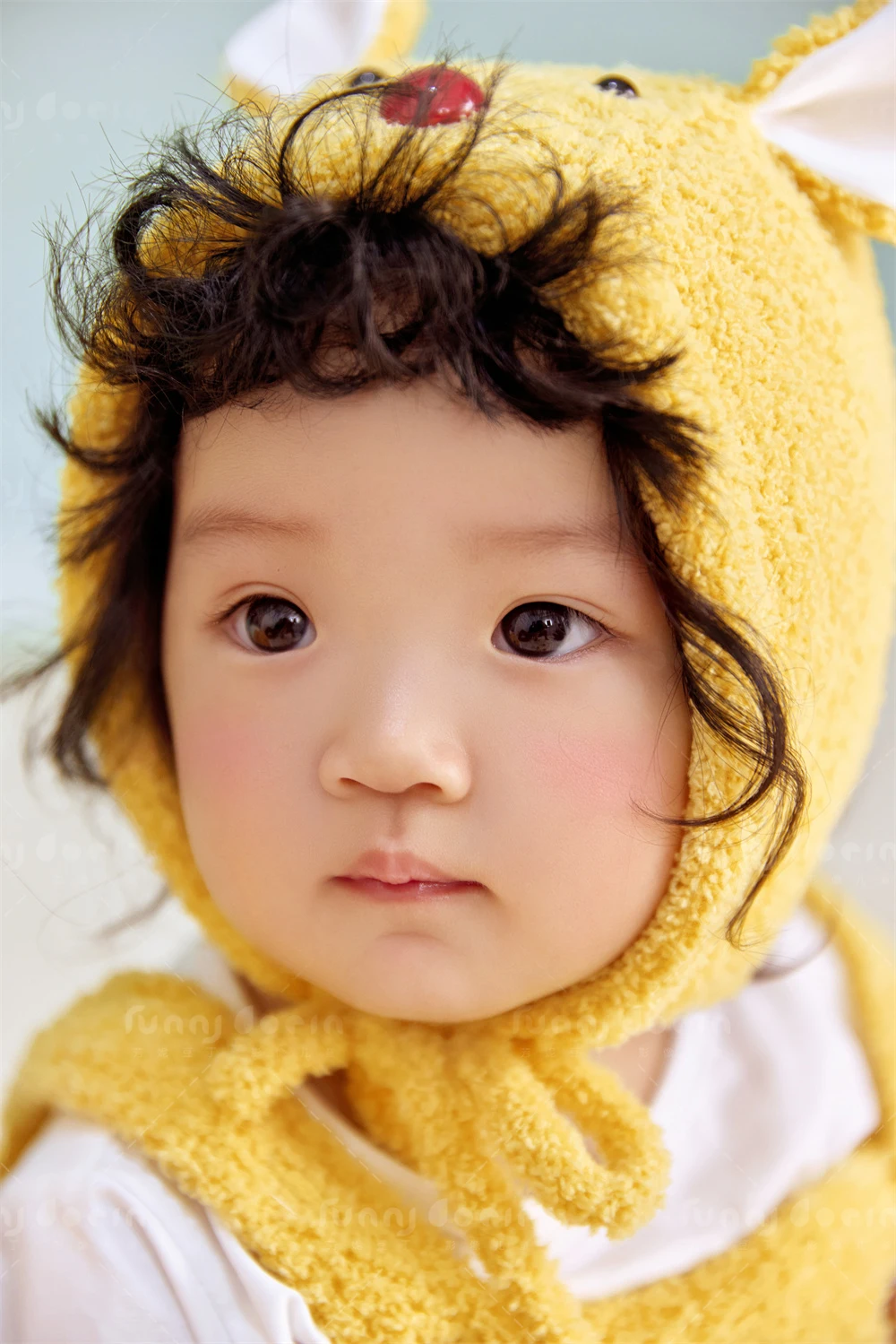 全家福 芳妮豆丁