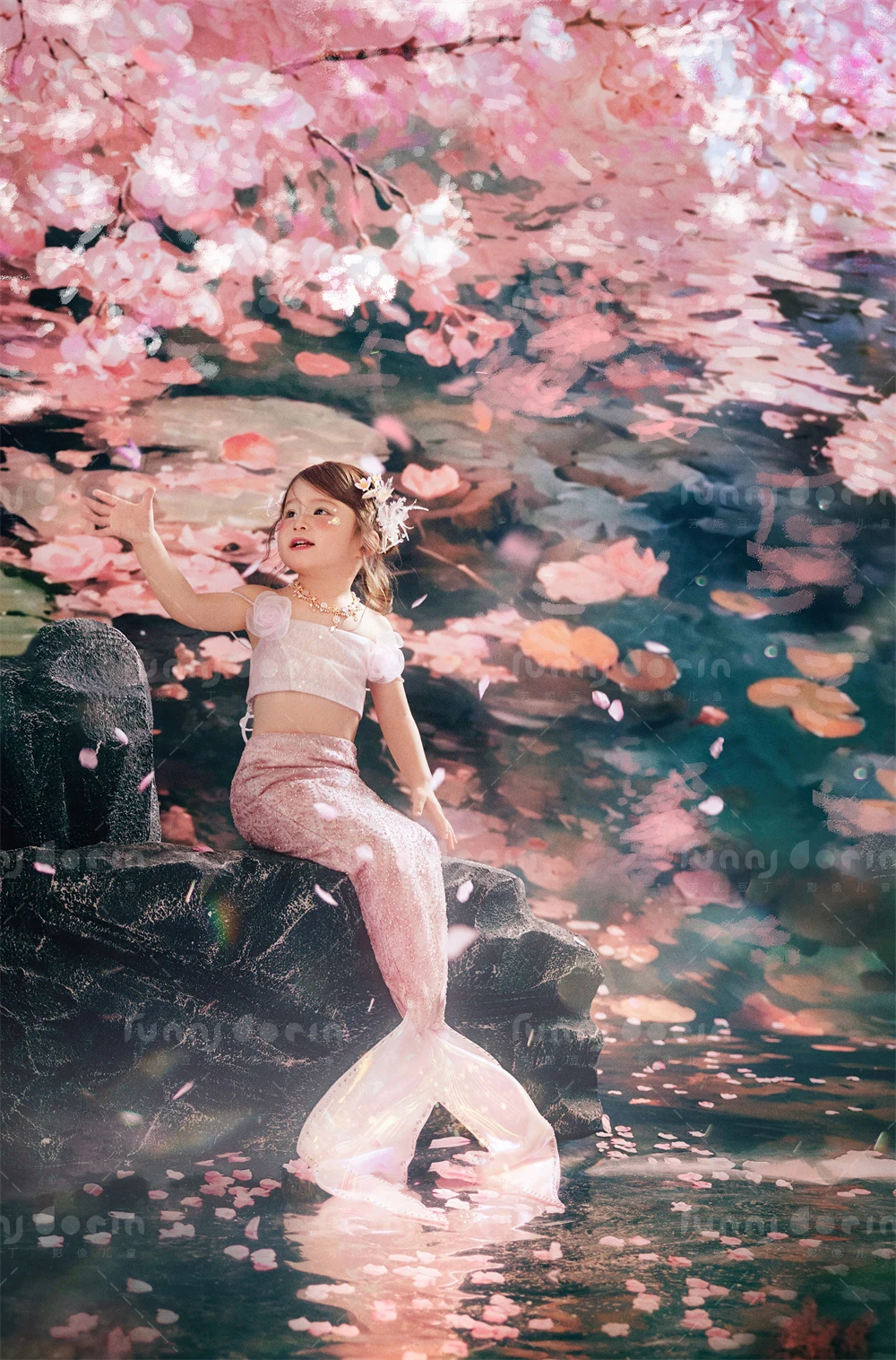 全家福 芳妮豆丁