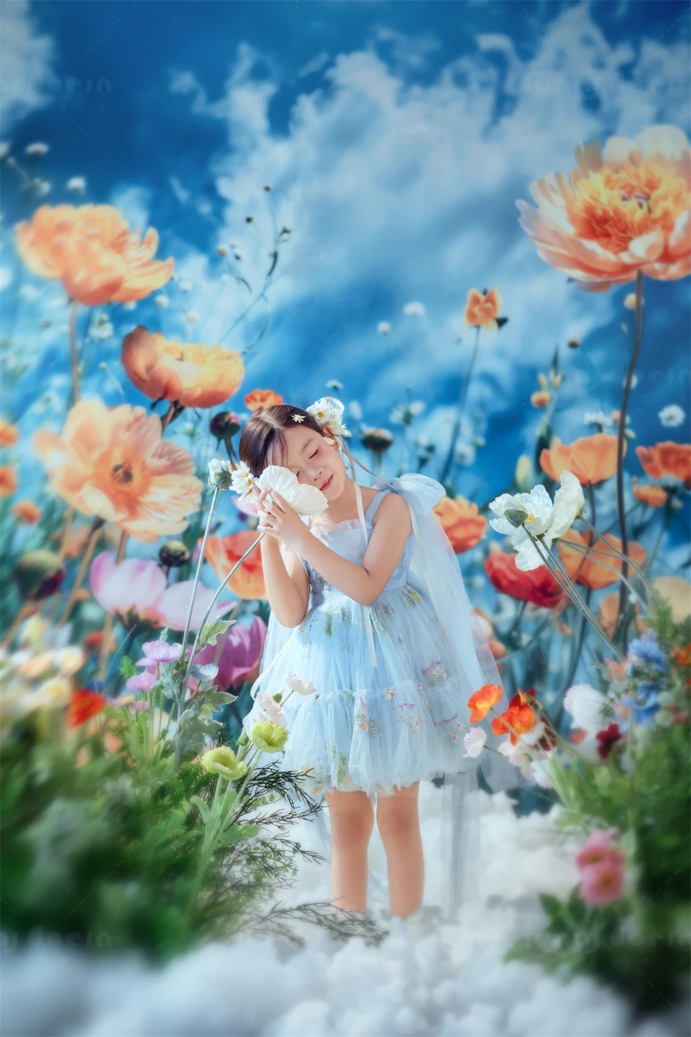 芳妮豆丁儿童摄影 花之秘境