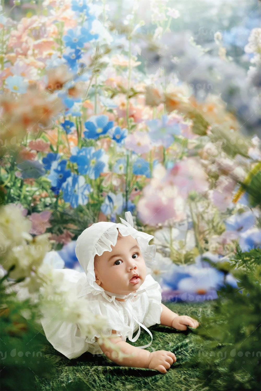 芳妮豆丁儿童摄影 花漾萌宝