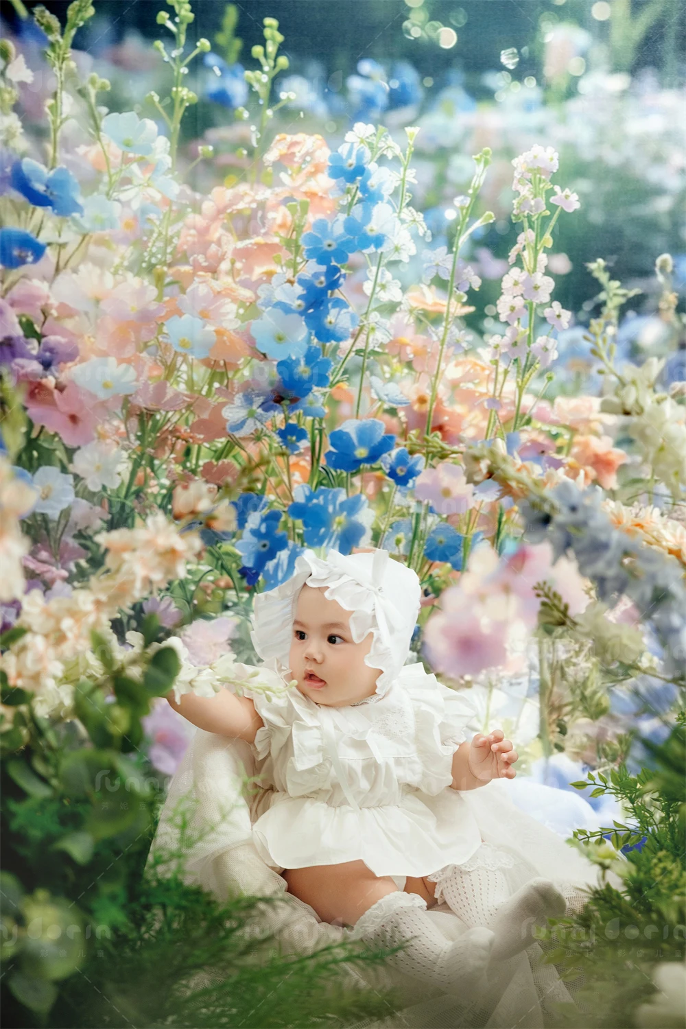 芳妮豆丁儿童摄影 花漾萌宝