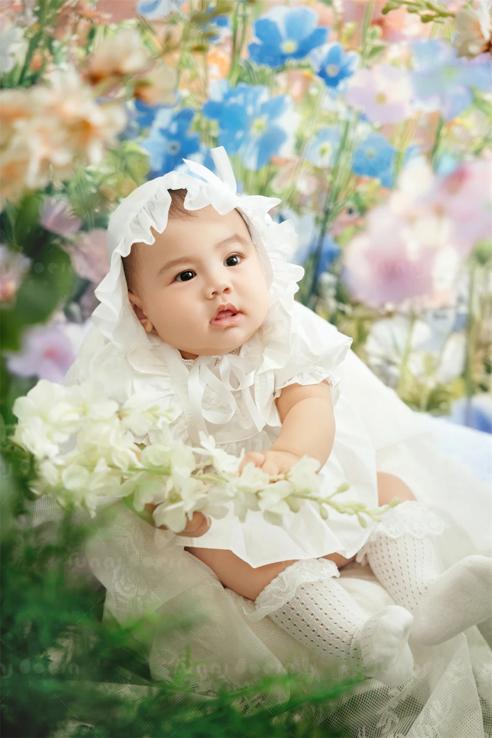 芳妮豆丁儿童摄影 花漾萌宝