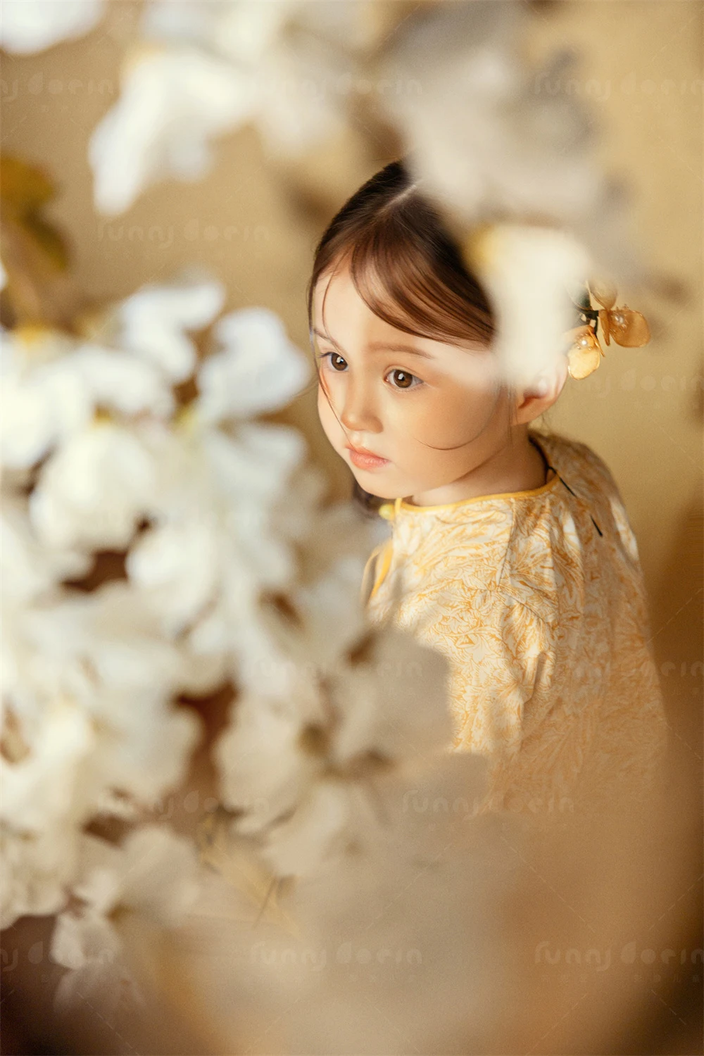 全家福 芳妮豆丁