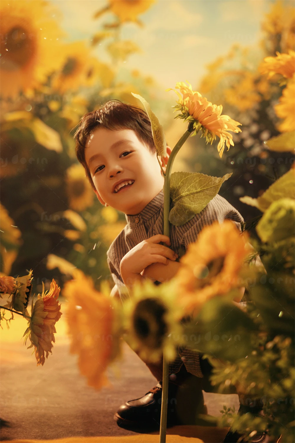 芳妮豆丁儿童摄影 向日葵之夏