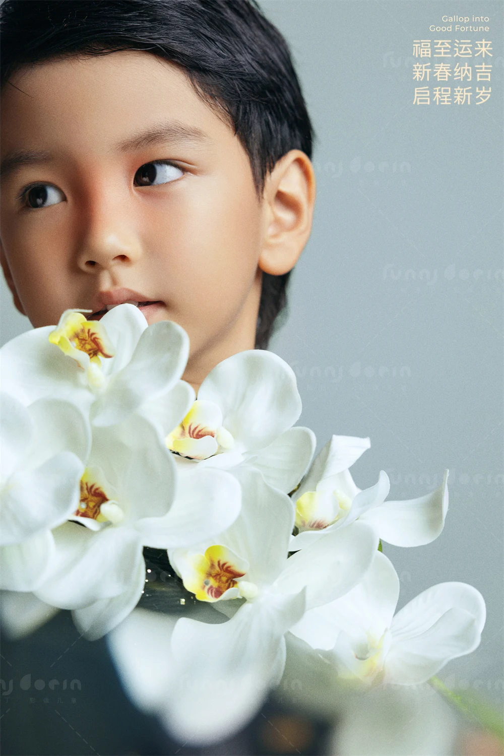 芳妮豆丁儿童摄影 马上有福