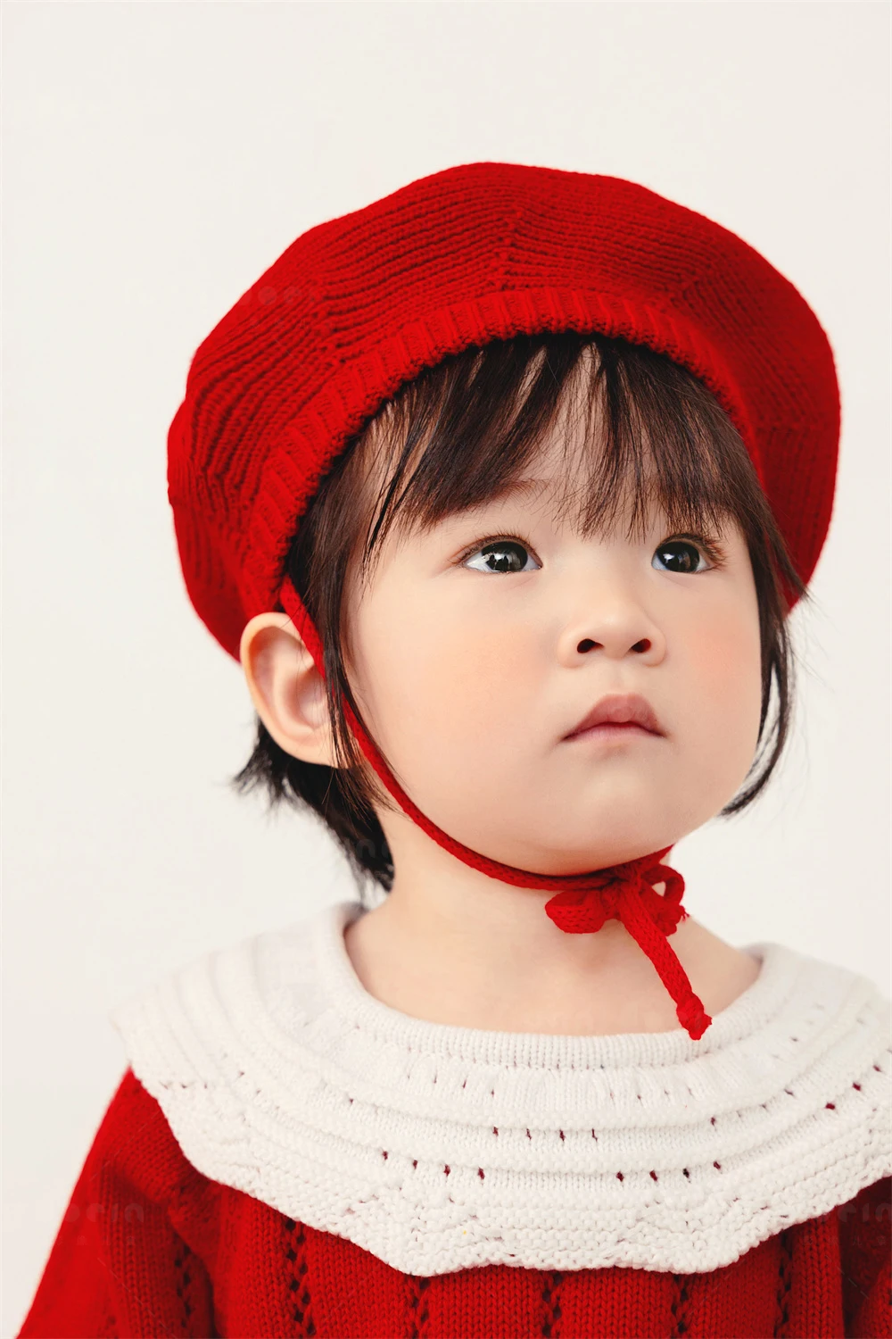 全家福 芳妮豆丁