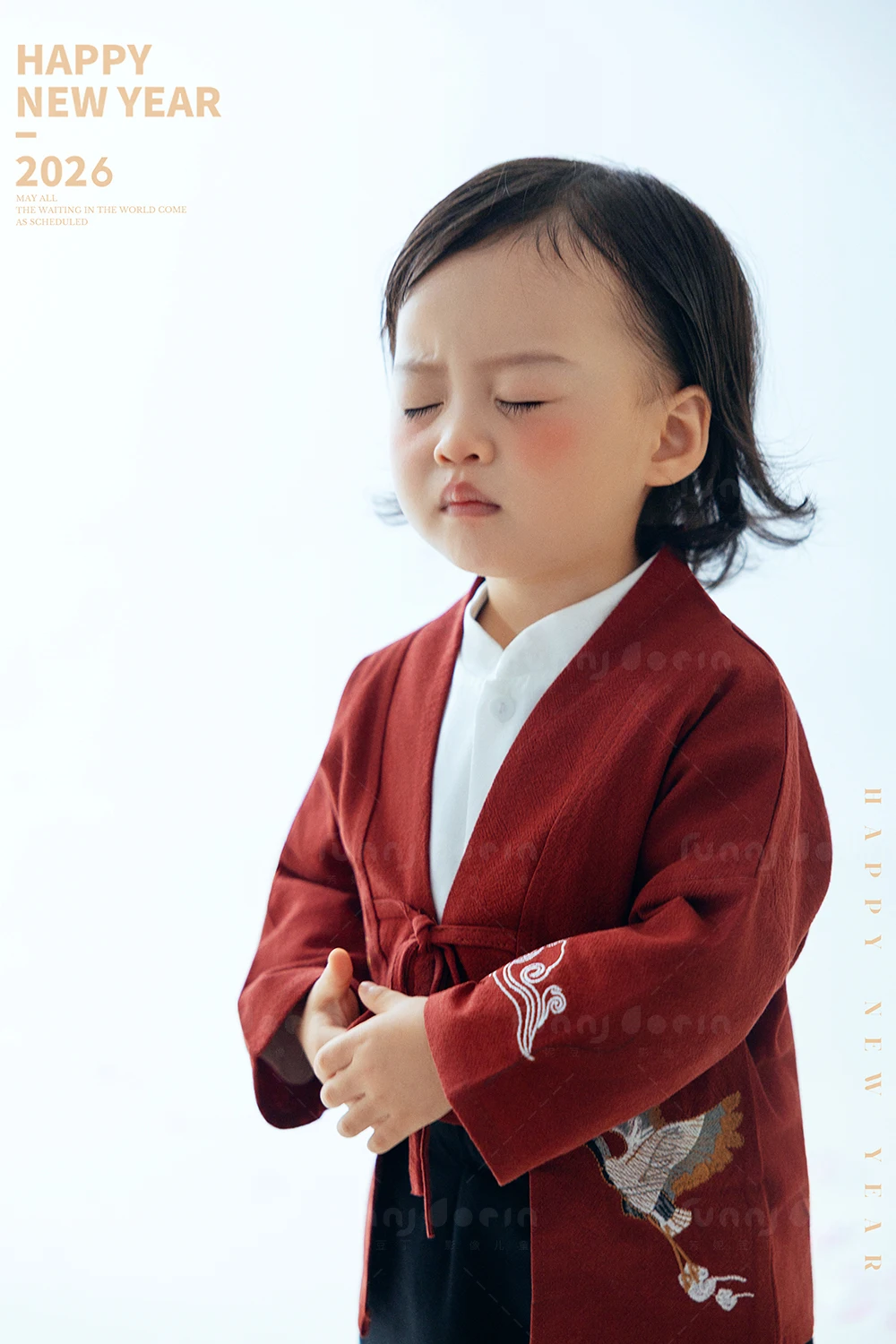 芳妮豆丁儿童摄影 马年福禄