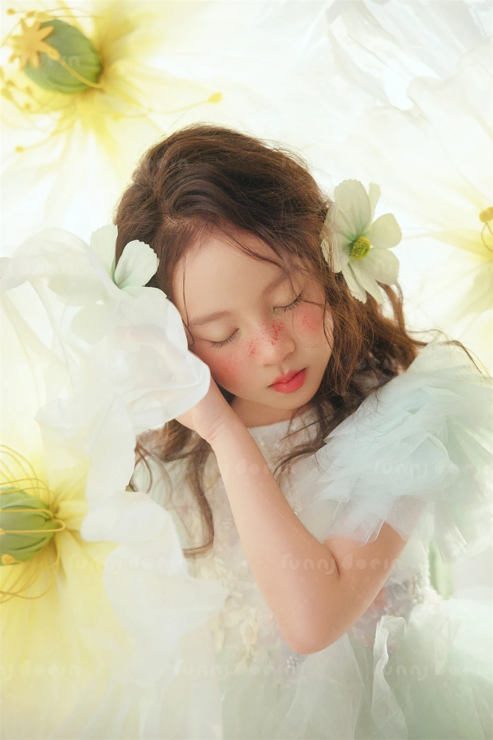 全家福 芳妮豆丁