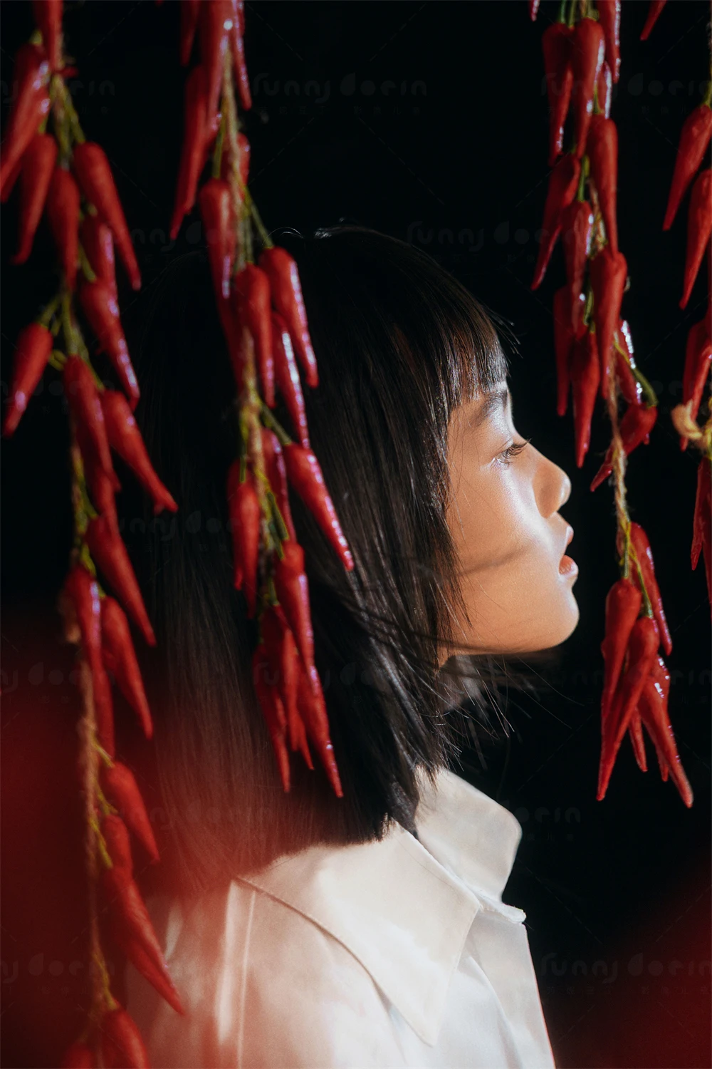 全家福 芳妮豆丁