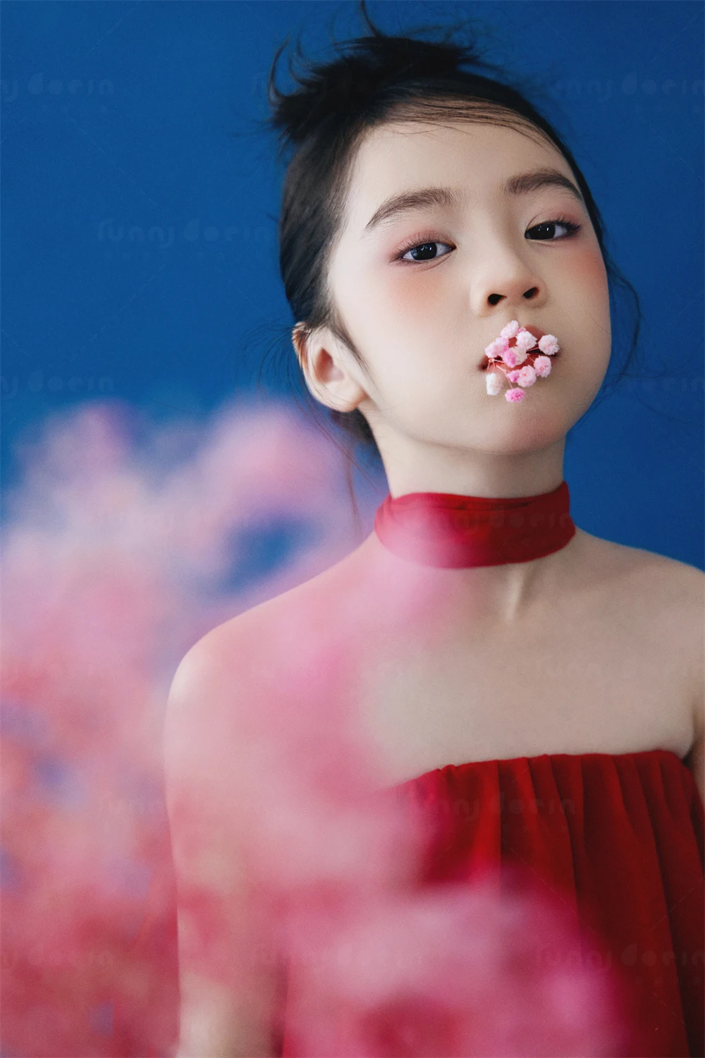 全家福 芳妮豆丁