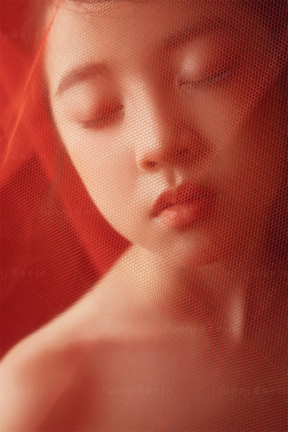 全家福 芳妮豆丁