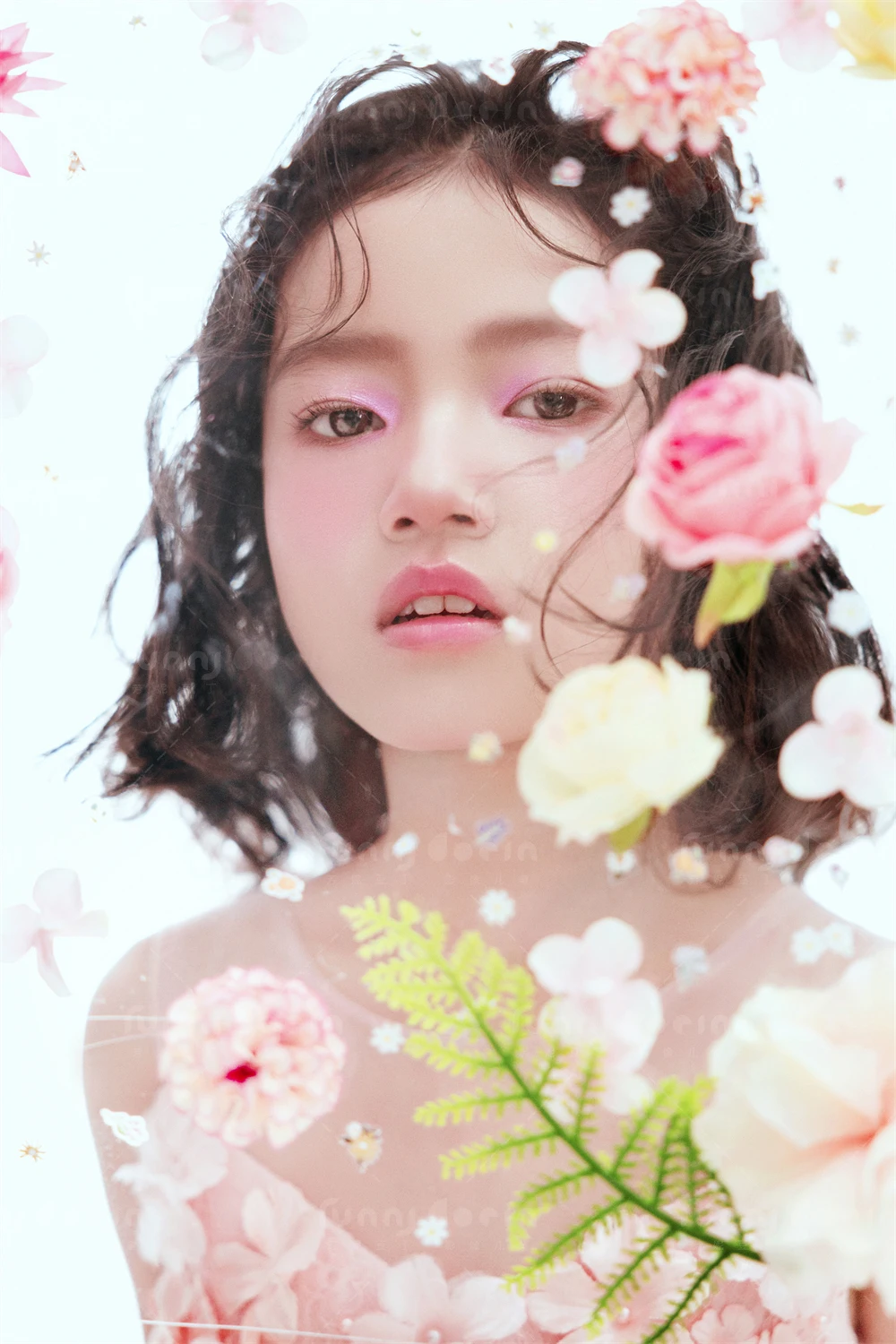 全家福 芳妮豆丁