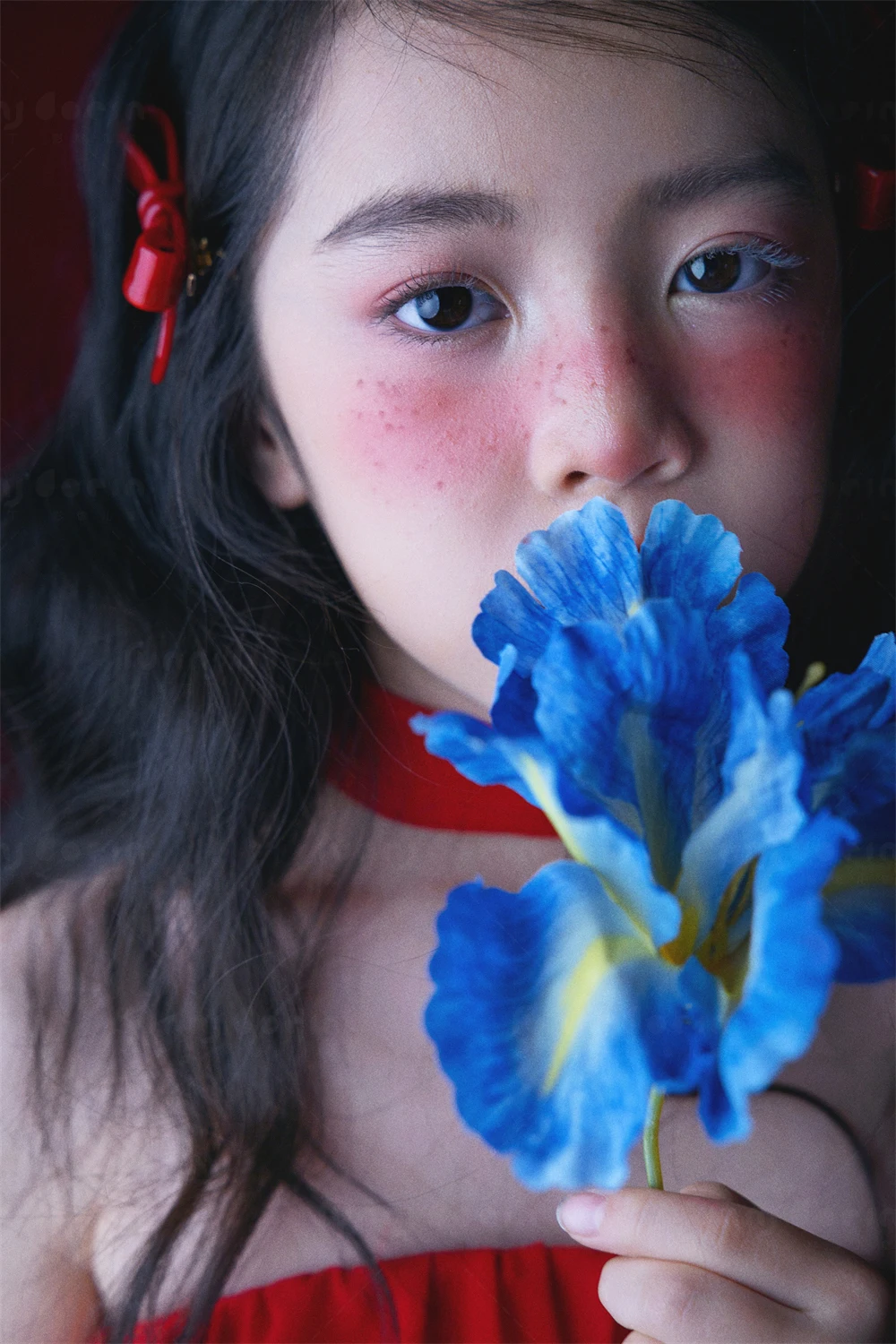 全家福 芳妮豆丁