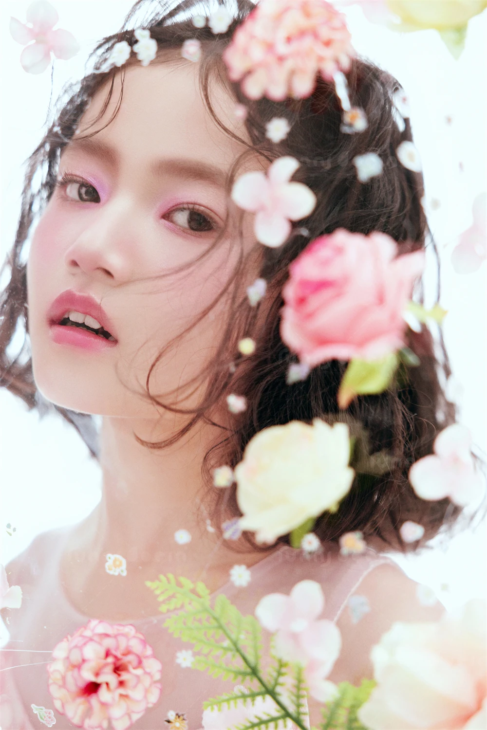 全家福 芳妮豆丁