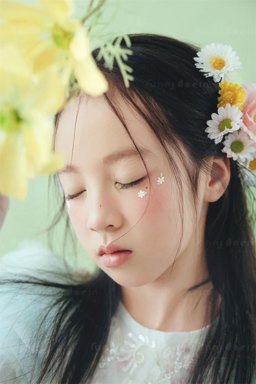 全家福 芳妮豆丁