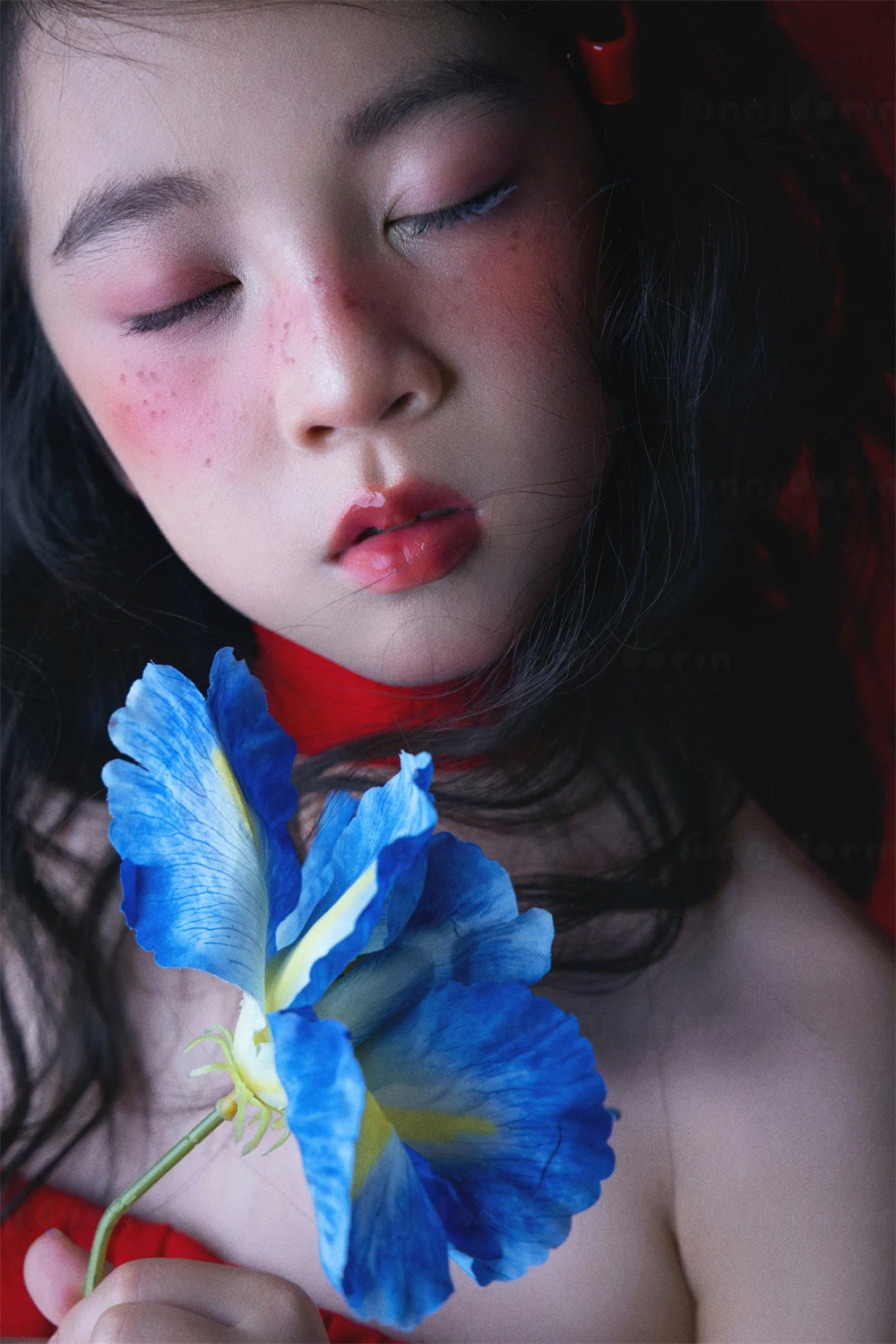 全家福 芳妮豆丁