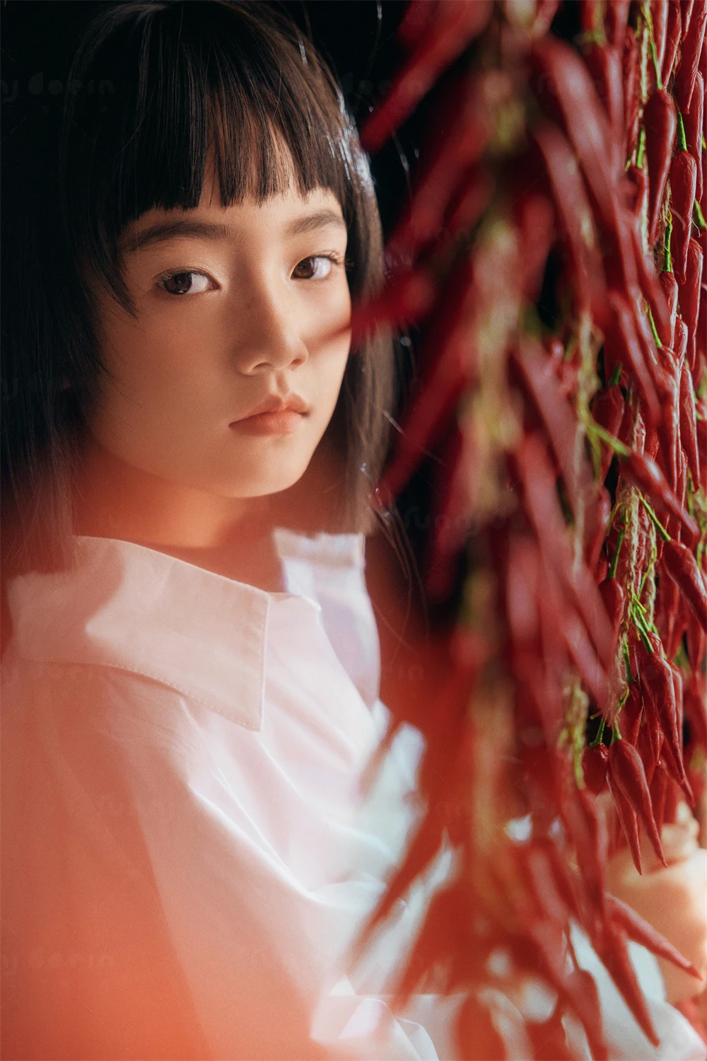 全家福 芳妮豆丁