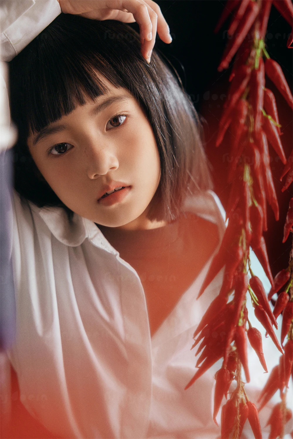 全家福 芳妮豆丁