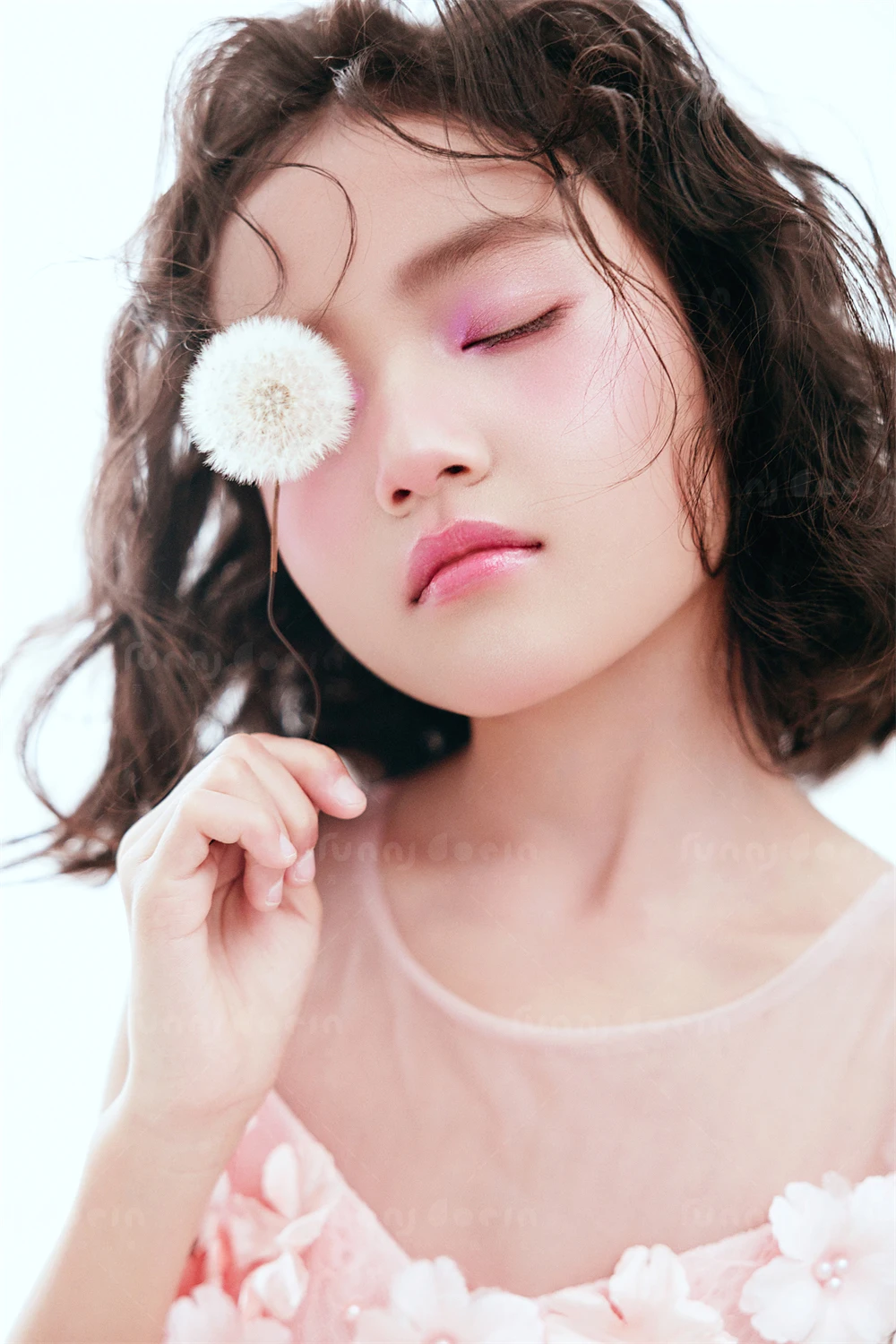 全家福 芳妮豆丁