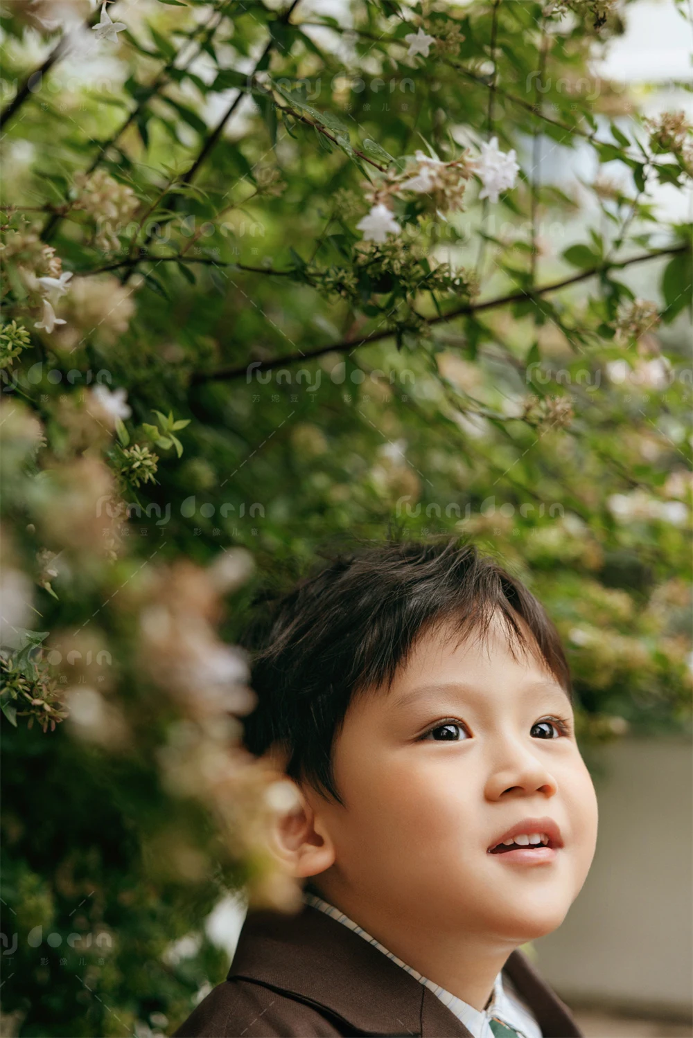 芳妮豆丁儿童摄影 庭院少年信